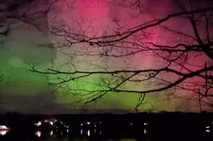 5320 Stella Rd, Custer, MI 49405 - Photo 67