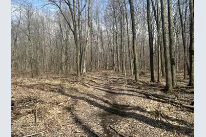 6551 Brown Road, Jonesville, MI 49250 - Photo 9