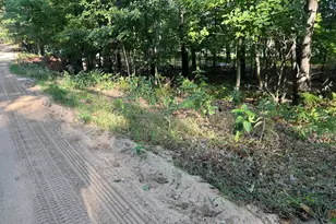 10022 S Rebecca Rd, Baldwin, MI 49304 - Photo 115