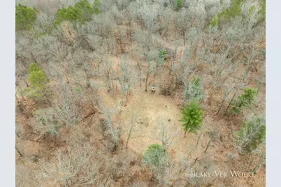 V/L 20.49A E 15 Mile Road, Bitely, MI 49309 - Photo 7