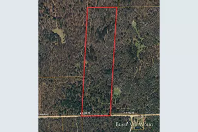 V/L 20.49A E 15 Mile Road, Bitely, MI 49309 - Photo 3