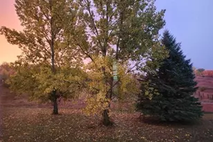 6015 S 124th Ave, Rothbury, MI 49452 - Photo 35