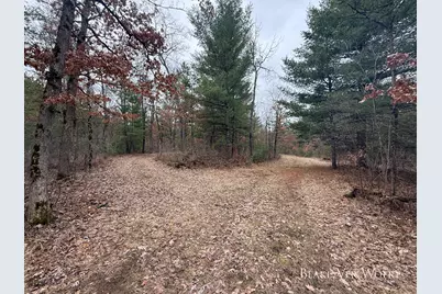 V/L 20.5A N Walnut Avenue, Bitely, MI 49309 - Photo 19