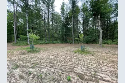 V/L 20.5A N Walnut Avenue, Bitely, MI 49309 - Photo 13