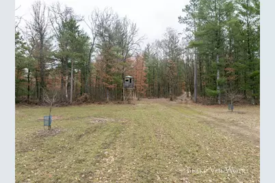 V/L 20.5A N Walnut Avenue, Bitely, MI 49309 - Photo 5