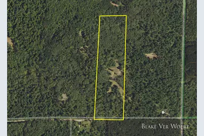 V/L 21A E 15 Mile Road, Bitely, MI 49309 - Photo 3