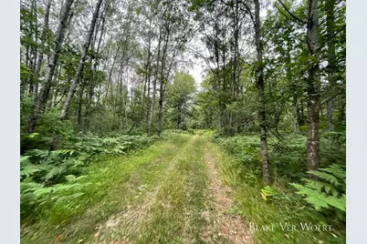 V/L 27A E 15 Mile Road, Bitely, MI 49309 - Photo 11