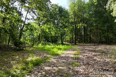 Parcel E W Willard Road, Trufant, MI 49347 - Photo 3