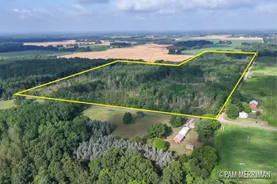 Parcel A Youngman Road, Trufant, MI 49347 - Photo 5