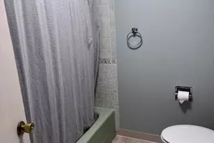 315 E Slosson Ave, Reed City, MI 49677 - Photo 11