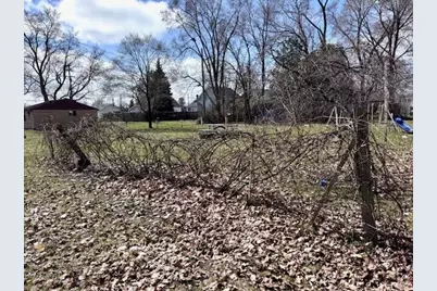 315 E Slosson Avenue, Reed City, MI 49677 - Photo 5