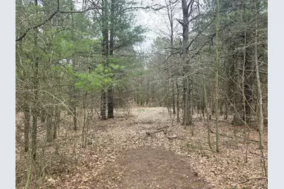 52960 County Road 380, Grand Junction, MI 49056 - Photo 49