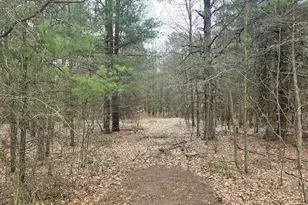 52960 Co Rd 380, Grand Junction, MI 49056 - Photo 49