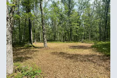 7230 S Kenwood Avenue, Baldwin, MI 49304 - Photo 5