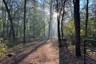 7230 S Kenwood Ave, Baldwin, MI 49304 - Photo 1