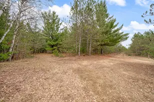 6700 S 230th Ave, Reed City, MI 49677 - Photo 39