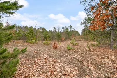 6700 S 230th Avenue, Reed City, MI 49677 - Photo 53