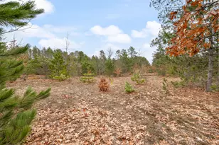 6700 S 230th Ave, Reed City, MI 49677 - Photo 53