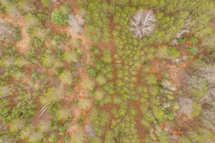 6700 S 230th Ave, Reed City, MI 49677 - Photo 69