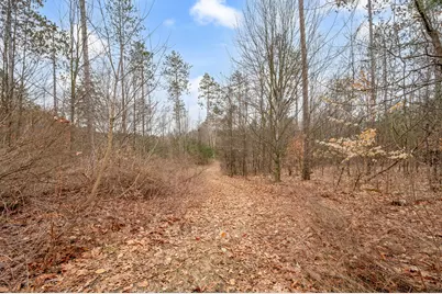 6700 S 230th Avenue, Reed City, MI 49677 - Photo 43