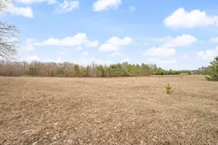 6700 S 230th Ave, Reed City, MI 49677 - Photo 49