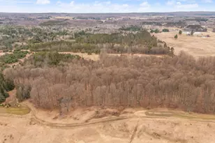 6700 S 230th Ave, Reed City, MI 49677 - Photo 63