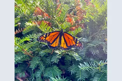 8599 E N Avenue, Kalamazoo, MI 49048 - Photo 27