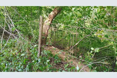 982 Stanton Road, Sherwood, MI 49089 - Photo 31