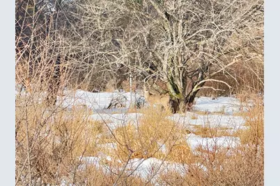 Lot 14 Sunset Lane, Manistee, MI 49660 - Photo 15
