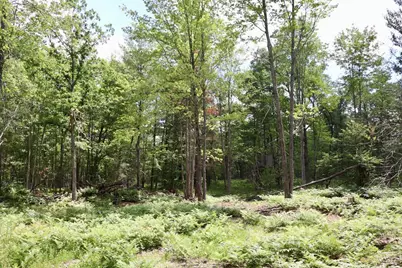 E Long Lake Road #V/L, Harrison, MI 48625 - Photo 13