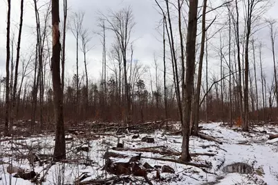 E Long Lake Road #V/L, Harrison, MI 48625 - Photo 35