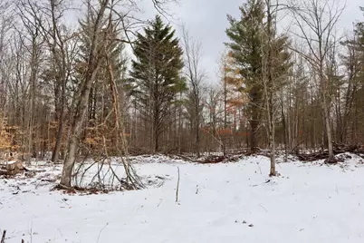 E Long Lake Road #V/L, Harrison, MI 48625 - Photo 19