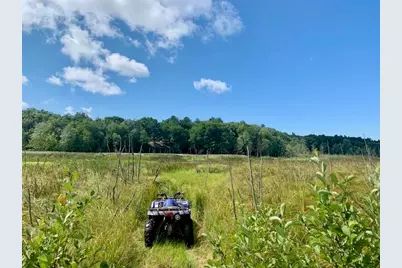 5925 W Jagger Road, Ludington, MI 49431 - Photo 41