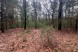 S Atwater, White Cloud, MI 49349 - Photo 1