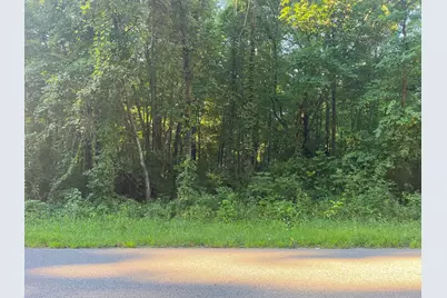 13164 Beckwith Drive NE, Lowell, MI 49331 - Photo 1