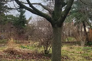 938 Northwood St NE, Grand Rapids, MI 49505 - Photo 1