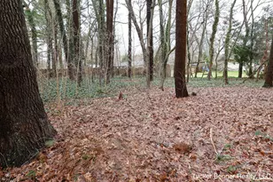 7703 Pinecone Ct, Whitehall, MI 49461 - Photo 53