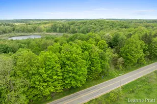 Vl Hutchinson Rd, Dowling, MI 49050 - Photo 1