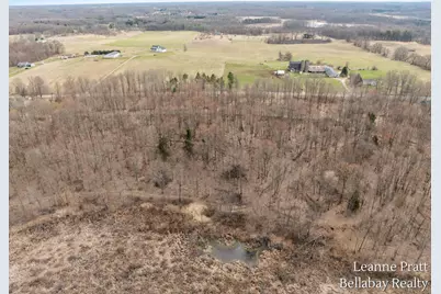 Vl Hutchinson, Dowling, MI 49050 - Photo 9