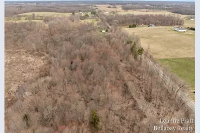 Vl Hutchinson, Dowling, MI 49050 - Photo 7