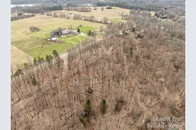 Vl Hutchinson, Dowling, MI 49050 - Photo 5