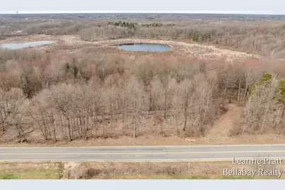 Vl Hutchinson Road, Dowling, MI 49050 - Photo 1