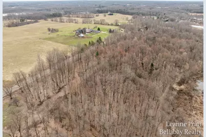 Vl Hutchinson, Dowling, MI 49050 - Photo 3