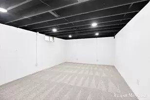 206 W Nelson St, Hastings, MI 49058 - Photo 25