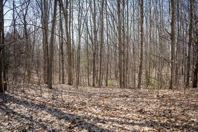 Parcel C&d W Grant, New Era, MI 49446 - Photo 33