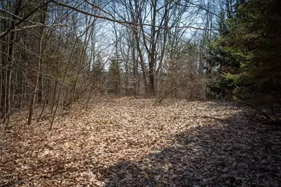 Parcel C&d W Grant, New Era, MI 49446 - Photo 15