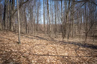 Parcel C&d W Grant, New Era, MI 49446 - Photo 19