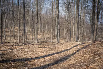 Parcel C&d W Grant, New Era, MI 49446 - Photo 29