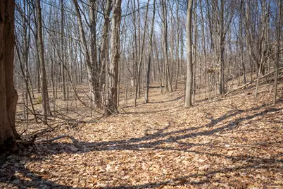 Parcel C&d W Grant, New Era, MI 49446 - Photo 17