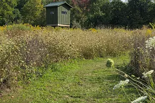 10700 Sunfield Rd, Sunfield, MI 48890 - Photo 145